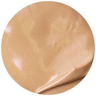 Balm Shelter Tinted Moisturiser